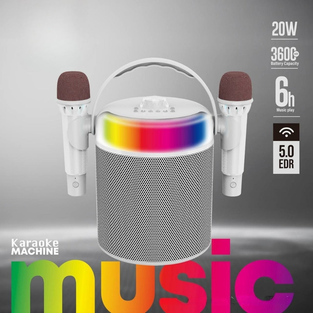 Portable karaoke speaker